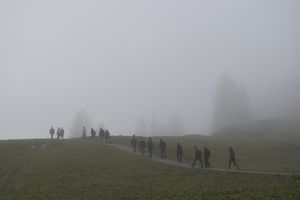 Walk in the mist from Falken
