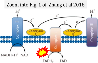 Zhang 2018 Mil Med Res CORRECTION.png