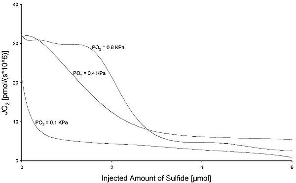 Injected amount of sulfide