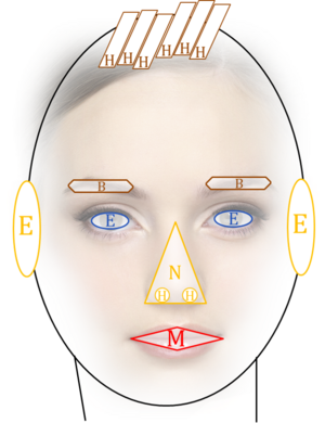 Face with many components.png