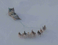 An Inuit hunter with sledge on his way over the frozen sea from Qaanaaq (Thule) to Uummannak (North Star Bay, Pituffik, Thule Air Base; March 2004)