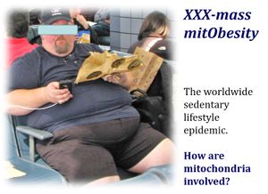 MitObesity-epidemic pic.jpg